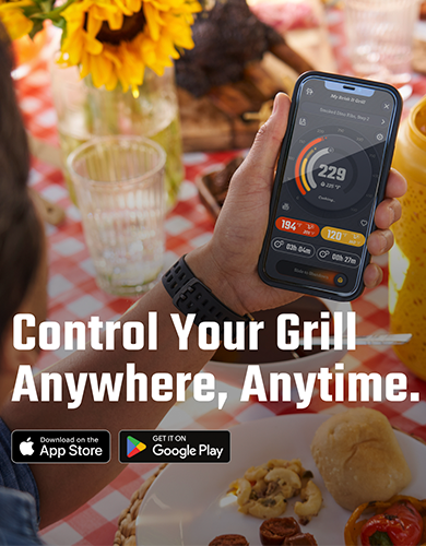 Brisk It Argo-640 A.I. Powered and WiFi Grill - Sam's Club Exclusive