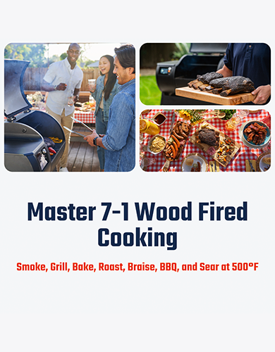 Brisk It Argo-640 A.I. Powered and WiFi Grill - Sam's Club Exclusive