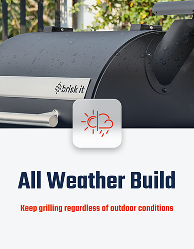 Brisk It Argo-640 A.I. Powered and WiFi Grill - Sam's Club Exclusive